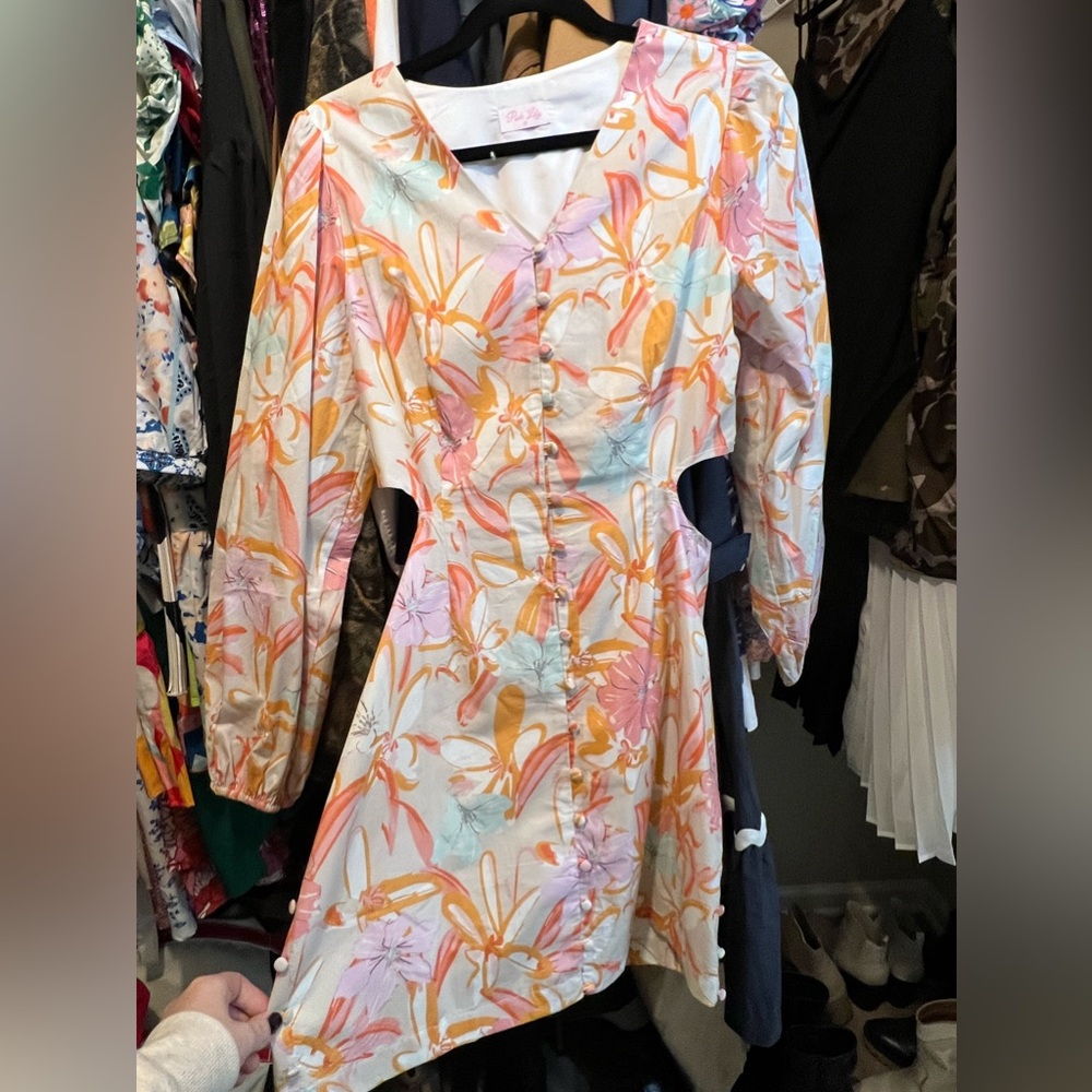 Pink lily boutique dress